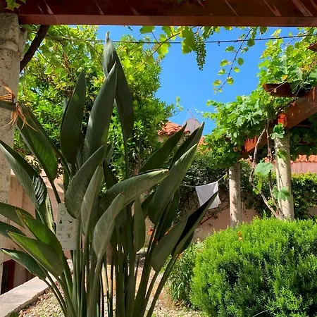 Prázdninový dům Hedera Estate, House Hedera Vi