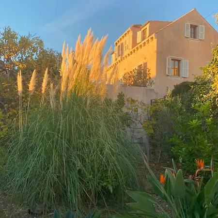 Hedera Estate, House Hedera Vi * דוברובניק