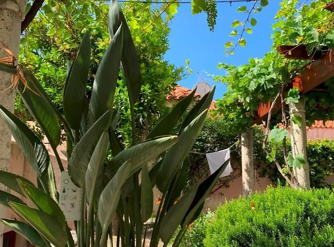 Nyaraló Hedera Estate, House Hedera Vi